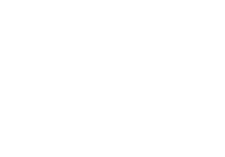 BYLAVI